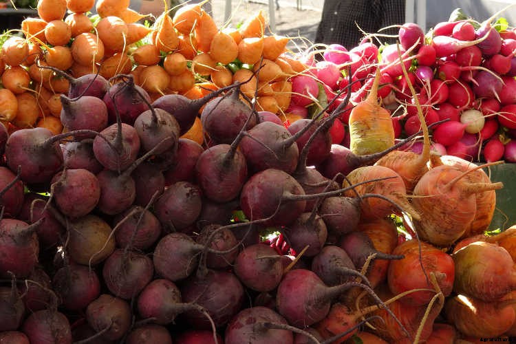 Growing Beets: A Bounty Of Root Crops For Fall & Spring