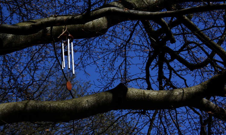 Soundscaping The Garden: Creating An Audible Landscape