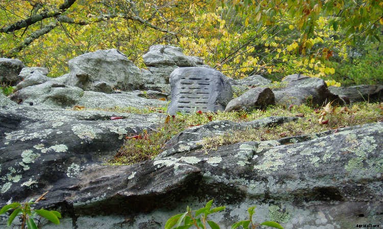 Soundscaping The Garden: Creating An Audible Landscape