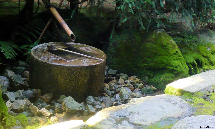 Soundscaping The Garden: Creating An Audible Landscape