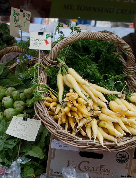 Growing Carrots: Grow A Rainbow Of Tasty Vegetables In Your Yard