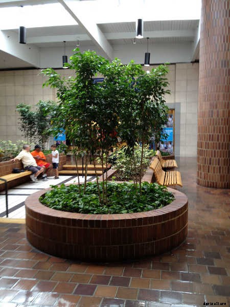 Landscaping Careers: Finding A Pathway Through The Industry