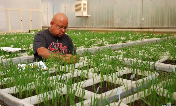 Landscaping Careers: Finding A Pathway Through The Industry