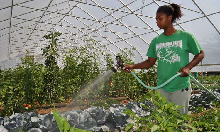 Landscaping Careers: Finding A Pathway Through The Industry