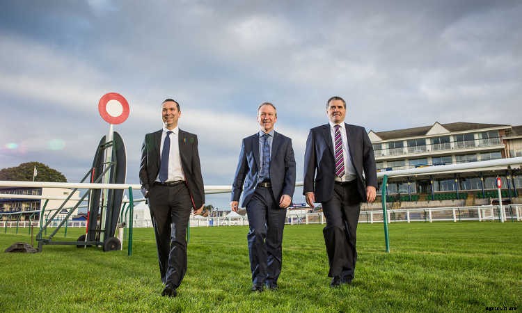 Landscaping Careers: Finding A Pathway Through The Industry