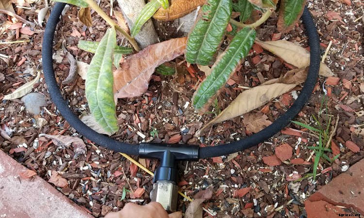 How To Use A Soaker Hose: Planning And Installation