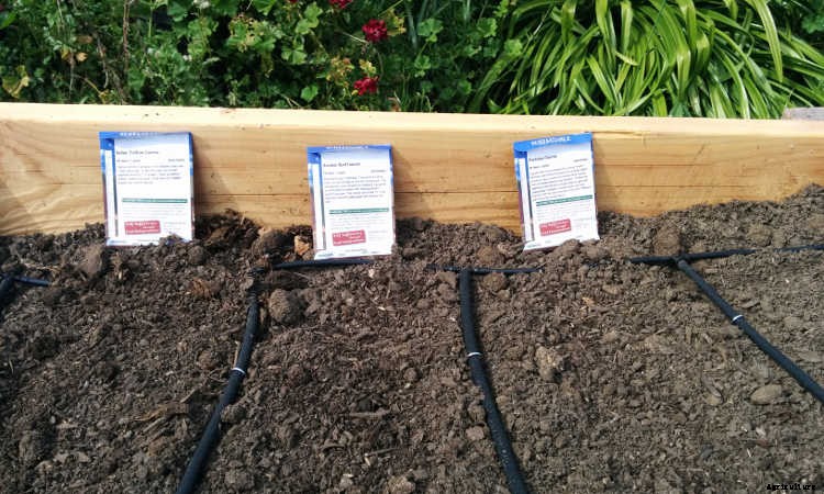 How To Use A Soaker Hose: Planning And Installation