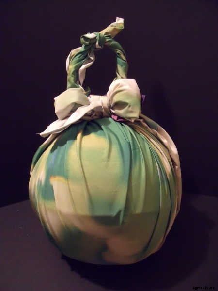 How To Grow Watermelon: The Ultimate Guide To Summer’s Bounty