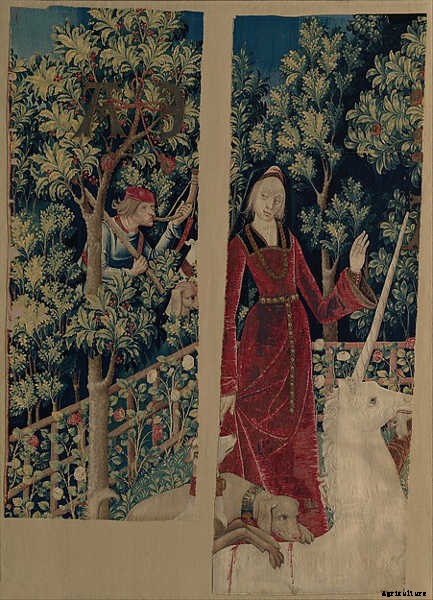 Espalier Fruit Trees: Big Harvests In Small Spaces