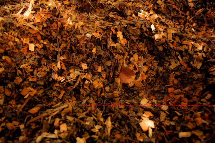 Clay Soil: Tips for Amending & Improving Your Soil