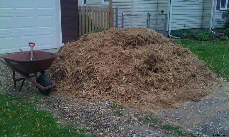 Clay Soil: Tips for Amending & Improving Your Soil