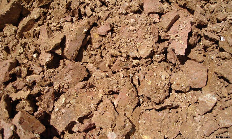 Clay Soil: Tips for Amending & Improving Your Soil