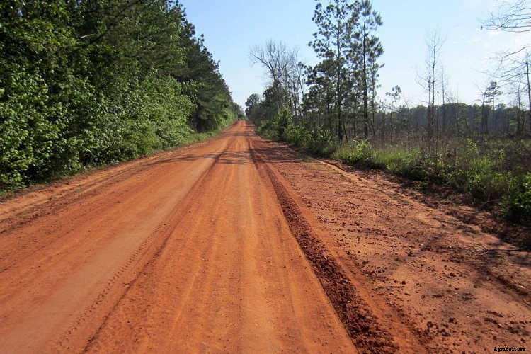 Clay Soil: Tips for Amending & Improving Your Soil