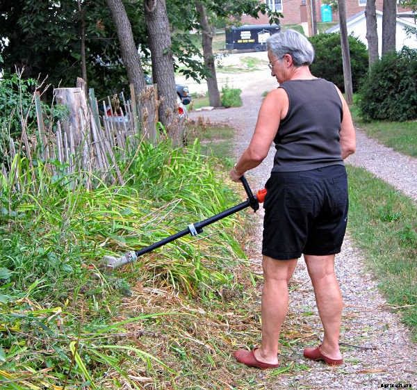 Elderly Gardening: Growing Old Gracefully