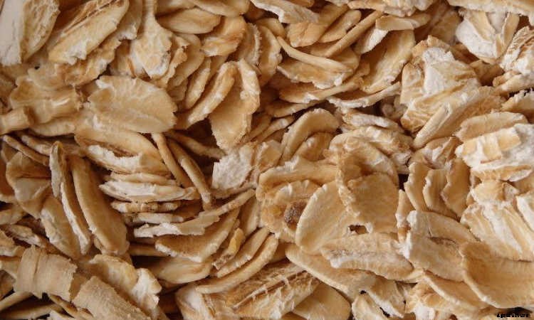 How To Raise Mealworms For Feed, Fishing, Or Fun