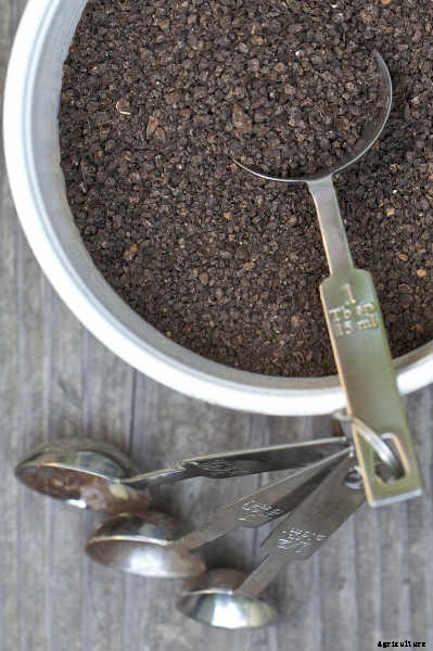 Tomato Fertilizer: How To Feed Your Plants For Ultimate Harvests