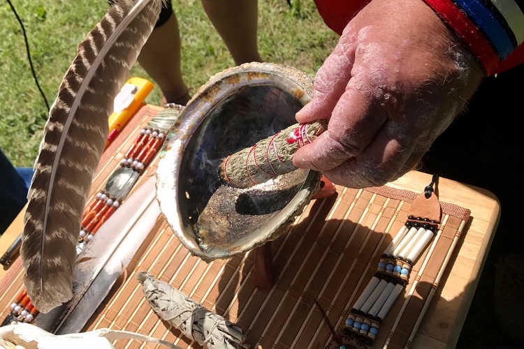 White Sage Plant: Growing Guide, Smudging, and Seeds