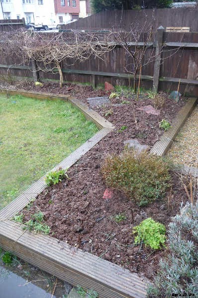 Mushroom Compost: What It Is, What It Does, And How To Make It