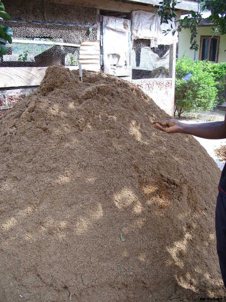 Mushroom Compost: What It Is, What It Does, And How To Make It