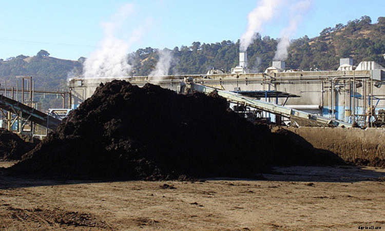 Mushroom Compost: What It Is, What It Does, And How To Make It