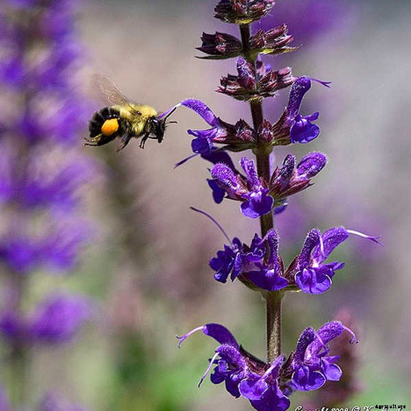 Indoor Gardening For Beginners: Basics You Should Know