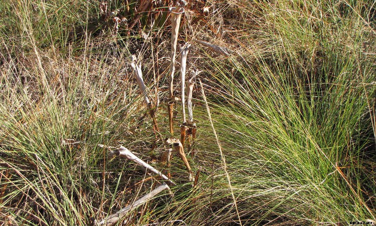 Indoor Gardening For Beginners: Basics You Should Know