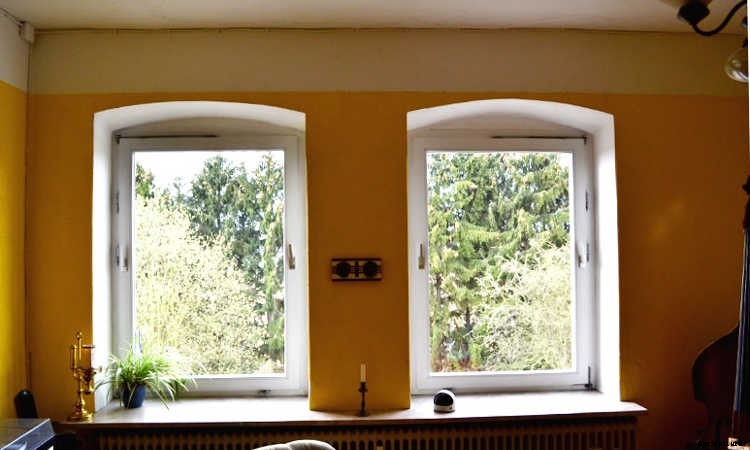 Indoor Gardening For Beginners: Basics You Should Know