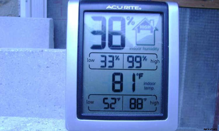 Indoor Gardening For Beginners: Basics You Should Know