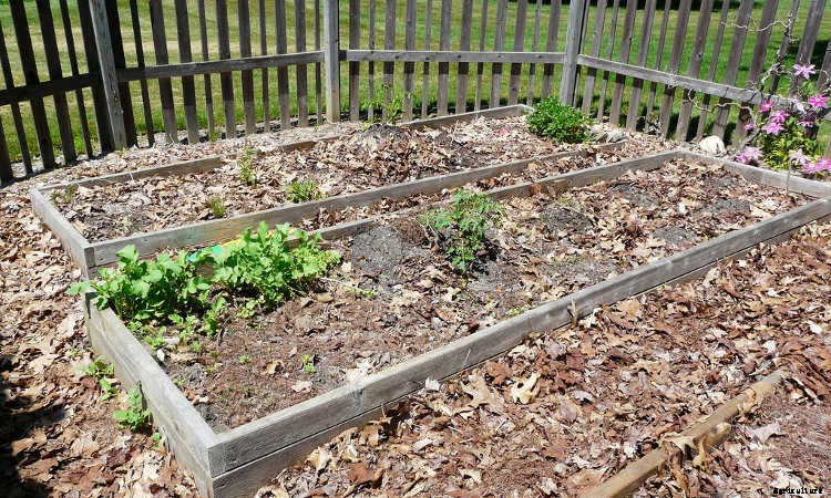 Spring Garden Prep: What You Need To Do To Get Ready To Grow