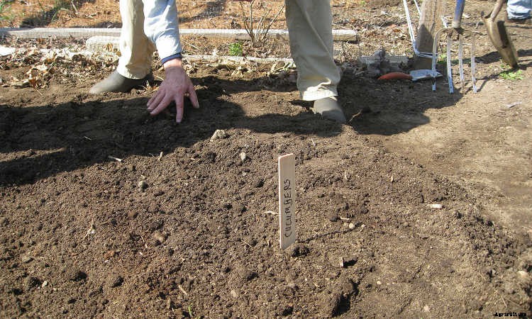 Spring Garden Prep: What You Need To Do To Get Ready To Grow