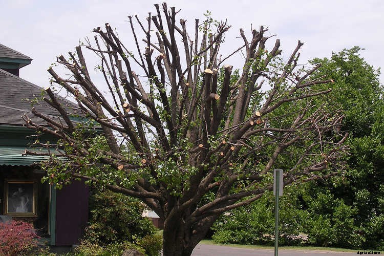 Spring Garden Prep: What You Need To Do To Get Ready To Grow