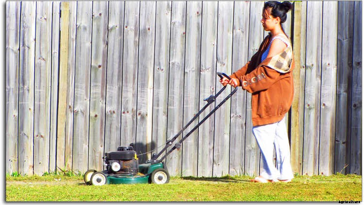 Spring Garden Prep: What You Need To Do To Get Ready To Grow