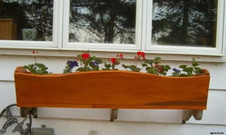 Fence Planters: Fantastic & Free Plans To Get More Growing Space