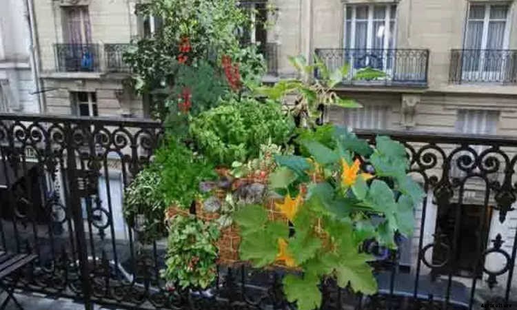 Fence Planters: Fantastic & Free Plans To Get More Growing Space