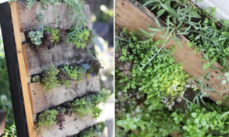 Fence Planters: Fantastic & Free Plans To Get More Growing Space