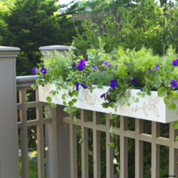 Fence Planters: Fantastic & Free Plans To Get More Growing Space