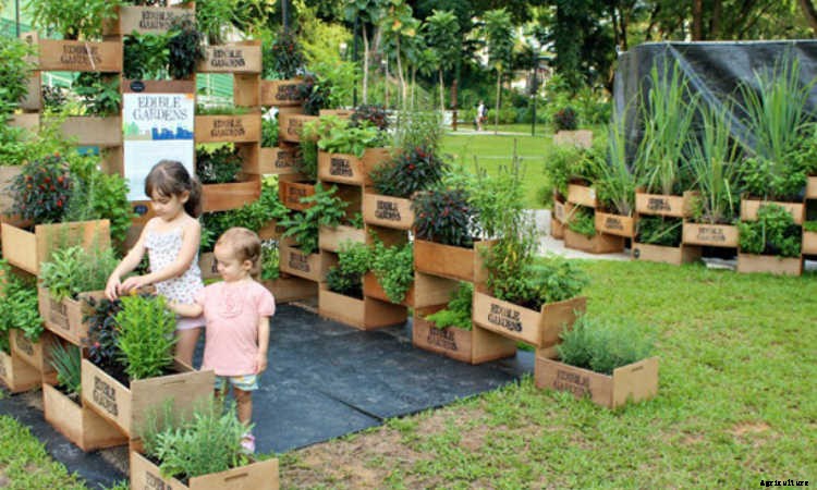 Fence Planters: Fantastic & Free Plans To Get More Growing Space