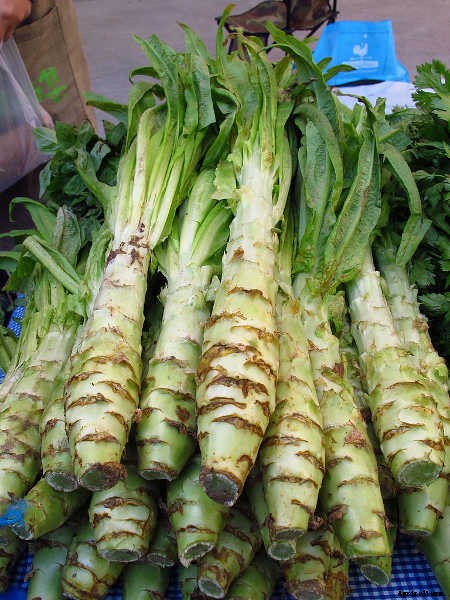 How To Grow Lettuce All Year Long