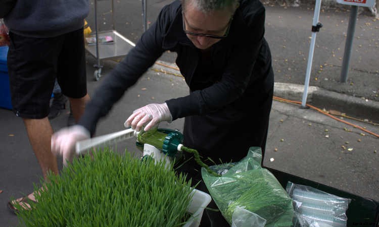 How to Grow Wheatgrass in a Few Simple Steps
