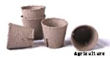 Peat Pots: Biodegradable Planters For Your Garden