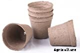 Peat Pots: Biodegradable Planters For Your Garden
