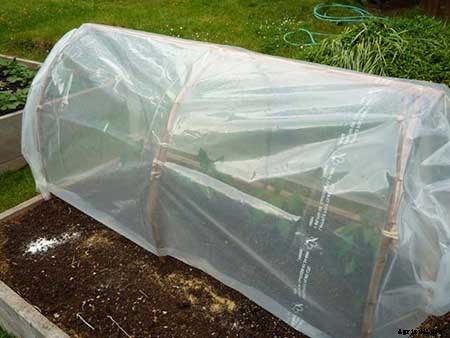 95 DIY Greenhouse Plans: Learn How To Build A Greenhouse