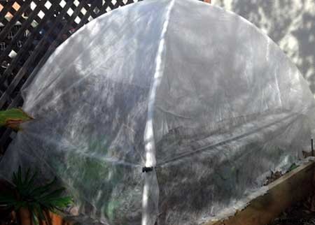 95 DIY Greenhouse Plans: Learn How To Build A Greenhouse