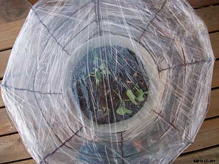 95 DIY Greenhouse Plans: Learn How To Build A Greenhouse