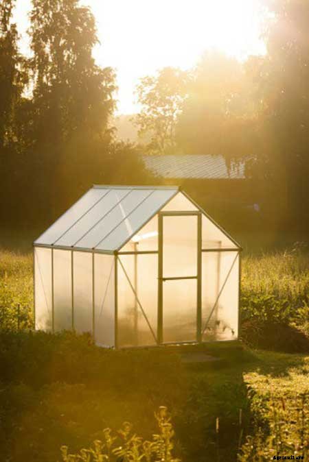 95 DIY Greenhouse Plans: Learn How To Build A Greenhouse