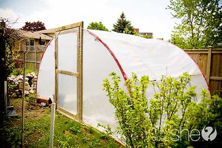 95 DIY Greenhouse Plans: Learn How To Build A Greenhouse