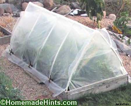 95 DIY Greenhouse Plans: Learn How To Build A Greenhouse