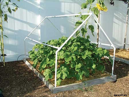 95 DIY Greenhouse Plans: Learn How To Build A Greenhouse