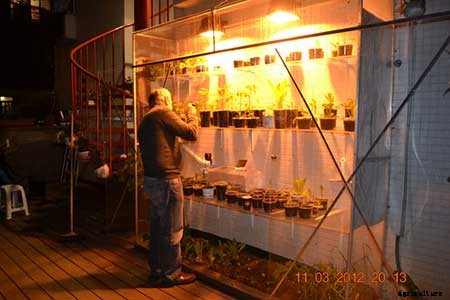 95 DIY Greenhouse Plans: Learn How To Build A Greenhouse