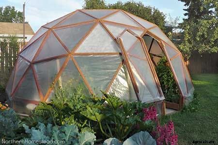 95 DIY Greenhouse Plans: Learn How To Build A Greenhouse